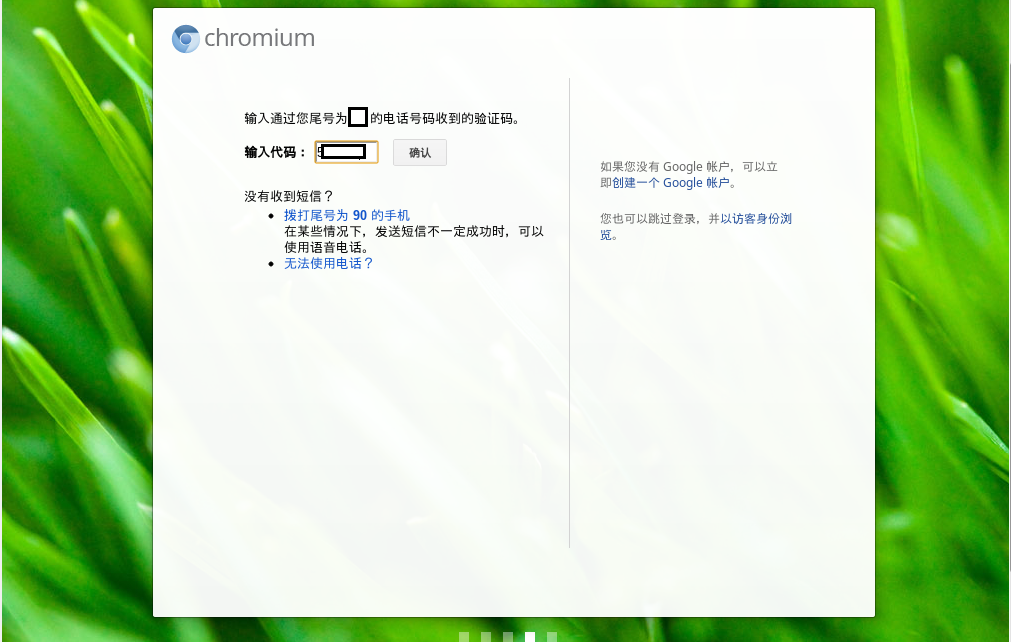 试用Chrome OS
